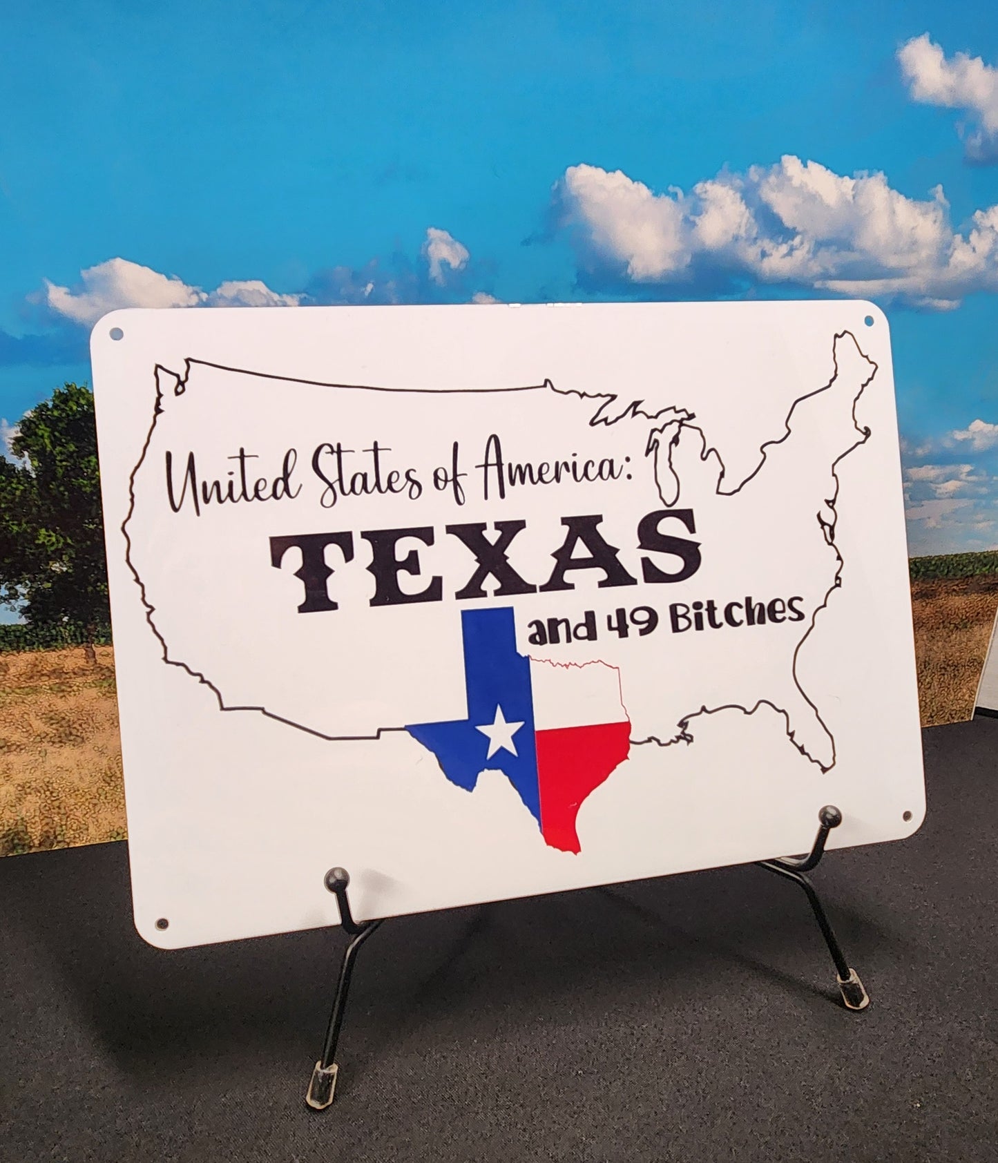 Metal Signs 7"x10" (Texas, Texas and 49 Bitches)