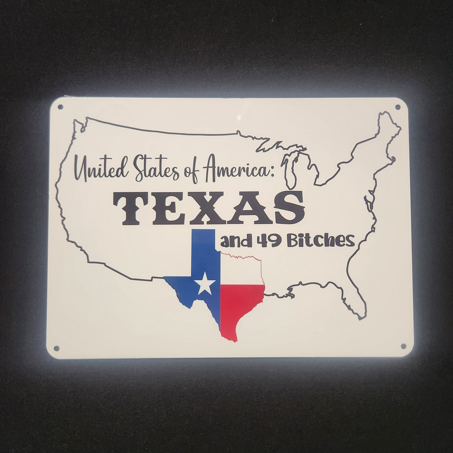 Metal Signs 7"x10" (Texas, Texas and 49 Bitches)
