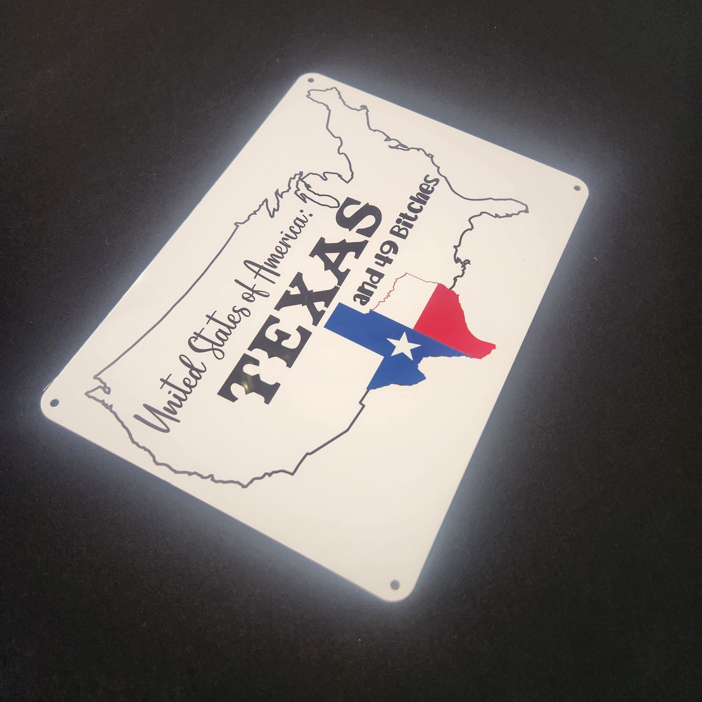Metal Signs 7"x10" (Texas, Texas and 49 Bitches)