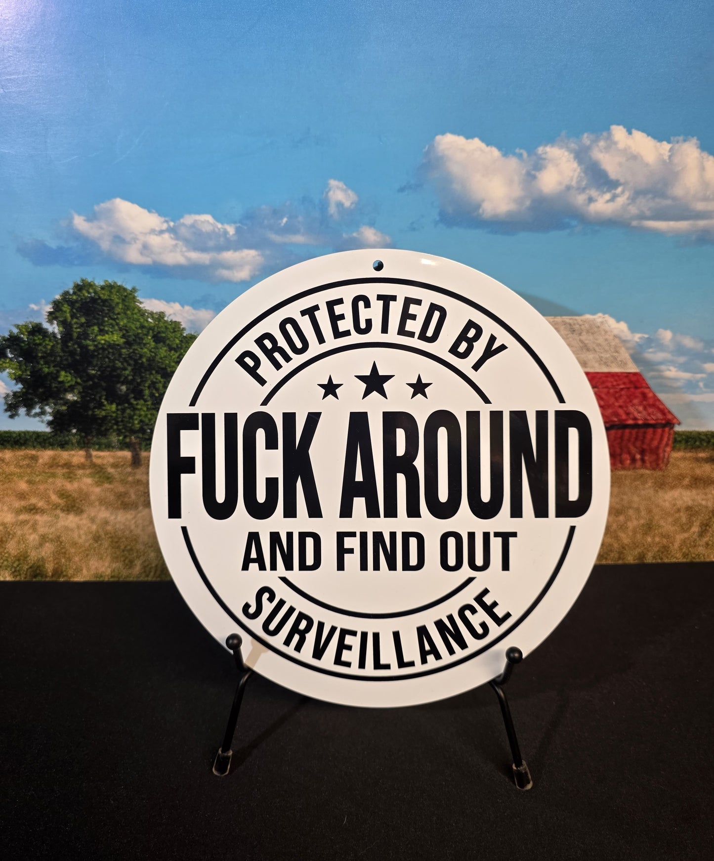 Metal Signs 8" Round (FAAFO Surveillance)
